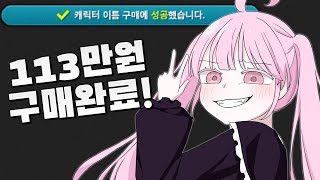 2글자 녜힁 113만원 주고 샀습니다 [메이플]