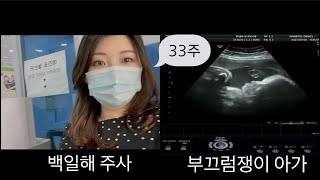 [임산부VLOG]임신 32~33주,9개월,백일해 주사,손수건 세탁 마무리,피비침