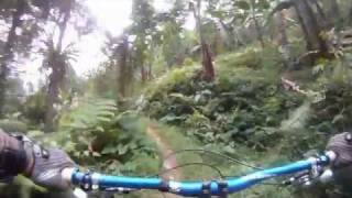 Triple Shot Downhill Enduro Adventure PL Cybro