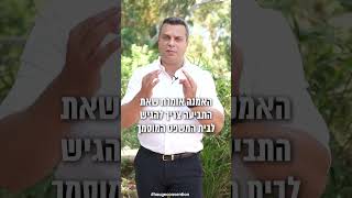 חטיפת ילדים בישראל האג Child kidnapping in Israel Hauge Convention  International divorce law