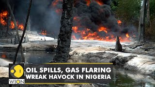 Oil spills, gas flaring wreak havock in Nigeria's Delta | World news | WION