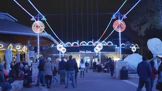 Zoo Lights 2019