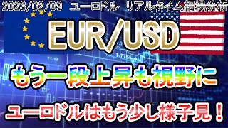 【高値更新も視野に】ユーロドルはもう少し様子見！《FX・相場分析》