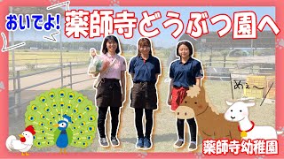 【薬師寺幼稚園】おいでよ！薬師寺どうぶつ園へ！