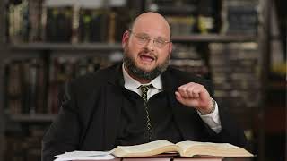 Rabbi Yehuda Spitz - Seder Insight: Understanding Urchatz, Comprehending Karpas