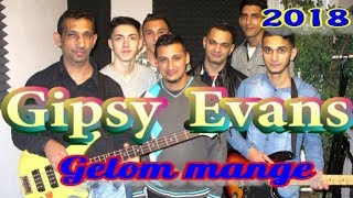 Gipsy Evans - Gelom mange 2018