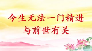 卢台长【今生无法一门精进与前世有关】