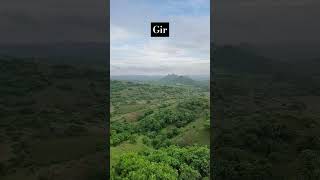 Gandi Gir in monsoon season #shorts #viral #ytshorts