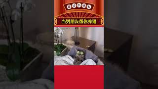 当男朋友帮你养猫#沙雕猫咪的日常 #萌宠 #每日一笑 #看一遍笑一遍  #萤火计划