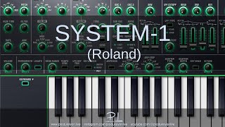 System-1 (Roland) Synthesizer Nasıl Kullanılır? (Konuşma Yok)