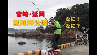 【宮崎・延岡】恵峰岬公園