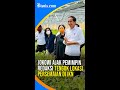 Jokowi Kunjungi Lokasi Persemaian di IKN, Ini Keistimewaannya!