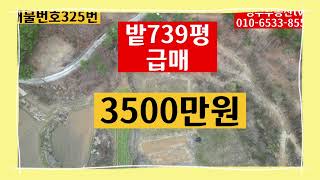 밭739평 급매 3500만원