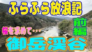 ふらふら放浪記「御岳渓谷」前編　2019/3/28