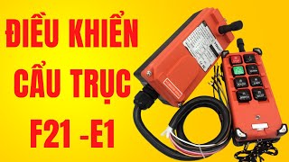 Điều khiển cẩu trục không dây F21 E1 Tu Dien DITICO