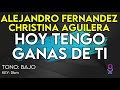 Alejandro Fernández ft. Christina Aguilera - Hoy Tengo Ganas De Ti - karaoke Instrumental - Bajo