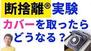 【やめてみる実験室】何かを覆っているカバーを取り外したらどうなる？