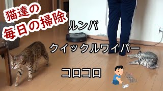 猫達の毛をルンバで掃除してみたら驚く結果に【ベンガル子猫】