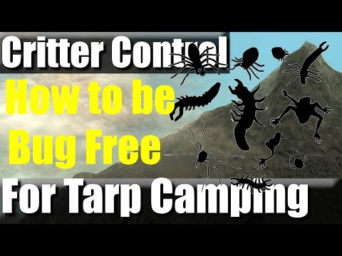 VR: How to Tarp Camp and Keep out the Critters | RevHiker VR: How to Tarp Camp and Keep out the Critters | RevHiker