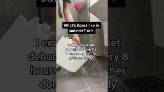 How humid is Korea in summer?🇰🇷