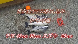 チヌ★リベンジ編 似非へチ釣り