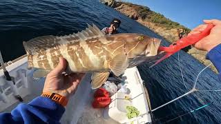 Fethiye Grida Lagos baligi Slow Jigging A La Carta CALAMAR