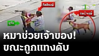 รุกฆาต! หนุ่มแพ้หมากรุกบุกแทงวินจยย.ดับ | 4 เม.ย. 67 | ไทยรัฐนิวส์โชว์