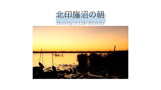 北印旛沼の朝~令和六年九月十四日~