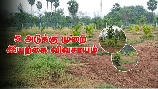 5 அடுக்கு முறை இயற்கை  விவசாயம் | நம்மாழ்வார் | இயற்கை விவசாயம் | பல்லுயிர்