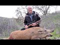 close encounter wild pig hunting with oak stone outfitters