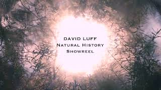 David Luff Natural History SHOWREEL