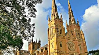 悉尼市圣母玛利亚大教堂 St Mary's Cathedral in Sydney