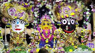 ওড়োন ষষ্ঠী ২০২২| রাজাপুর জগন্নাথ মন্দির | Mayapur Rajapur Jagannath Mandir