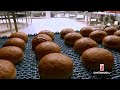 Bread processing Factory- Automated production line with high technology machines
