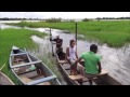 【k】burkina faso travel banfora 부르키나파소 여행 방포라 연꽃 핀 텡그렐라 호수 lake tengrela fish boat tour lotus