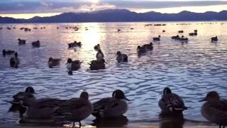 FUKUSHIMA NOW「猪苗代湖の朝」Morning of Inawashiro Lake