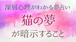 【夢占い】黒猫の夢は幸運が訪れる予感！　猫の夢が暗示すること