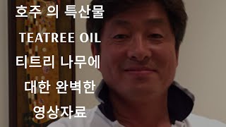 박순근의 재미있는 나무 이야기 Tea Tree 이야기.