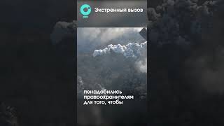 Замучила годовалую дочь и похоронила в огороде