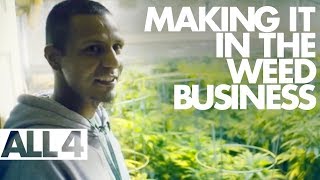 How People Make It In the Legal Weed Business