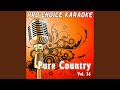 Old Dogs, Children and Watermelon Wine (Karaoke Version) (Originally Performed By Tom T. Hall)