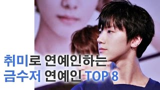 취미로 연예인하는 금수저 연예인 TOP 8