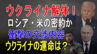 「平和の名の下にウクライナ解体！？ロシア・アメリカ第2回交渉の衝撃内容とは！」(2025年2月26日)