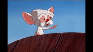 Pinky and the brain burping