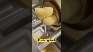 Making fresh rigatoni with an extruder #food #diy #pastalover #italianfood #machine #makingpasta