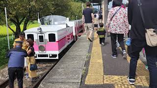 4K     高千穂峡　トロッコ列車　/   宮崎県高千穂町