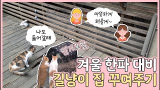 EP.6 길냥이 겨울집 | 한파 대비 마당냥이 집 꾸며주기