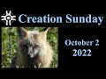 Creation Sunday - October 2, 2022 - Grace St. Paul's