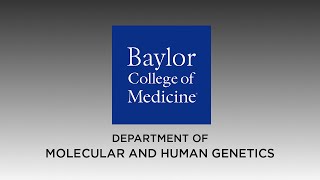 Genetics at Baylor College of Medicine