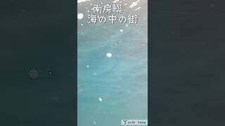 南房総の海の中！水中映像#水中カメラ#水中撮影#南房総